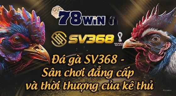 đá gà sv368