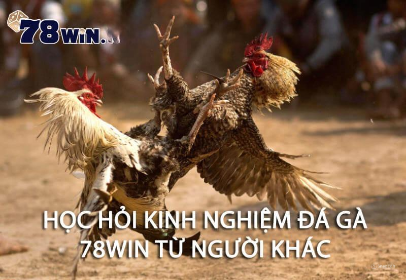 kinh nghiệm đá gà 78win