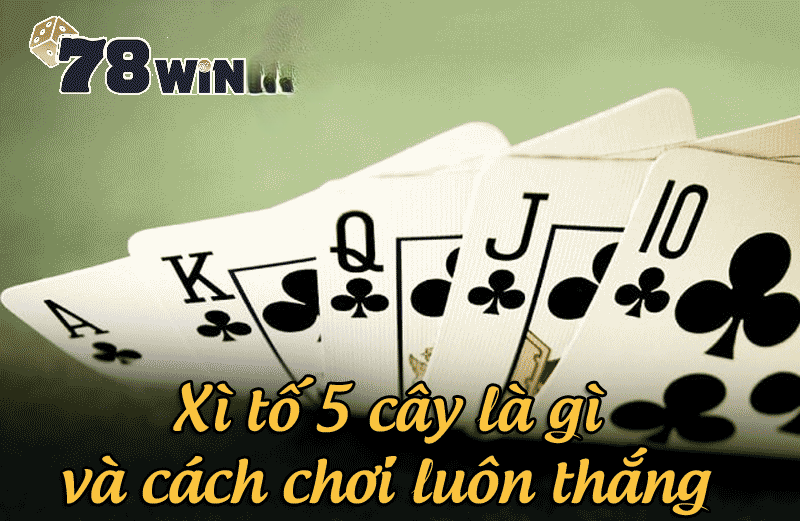 xì tố 5 cây